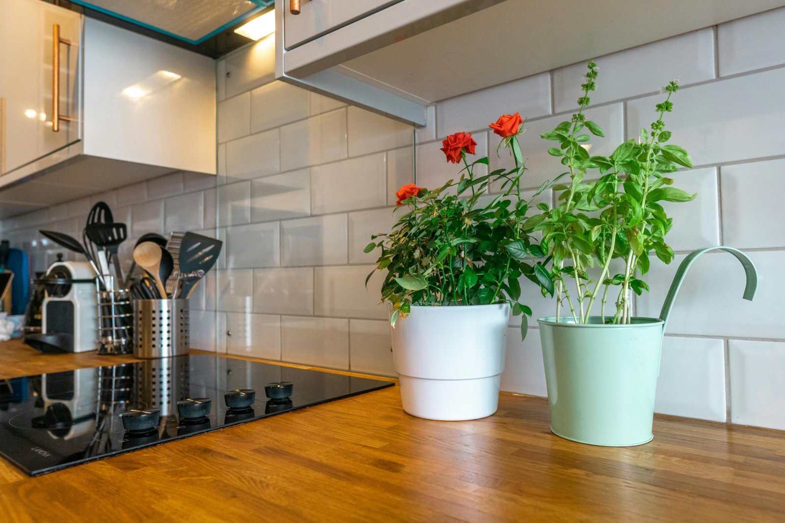 Plantas en la cocina